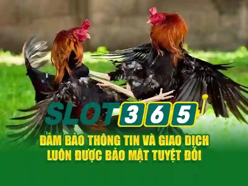 Nguồn gốc và sứ mệnh của giftcode Slot365