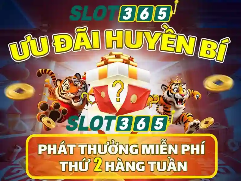 Slot365 là gì?
