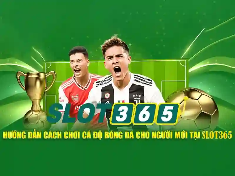 Giao diện và trải nghiệm người dùng