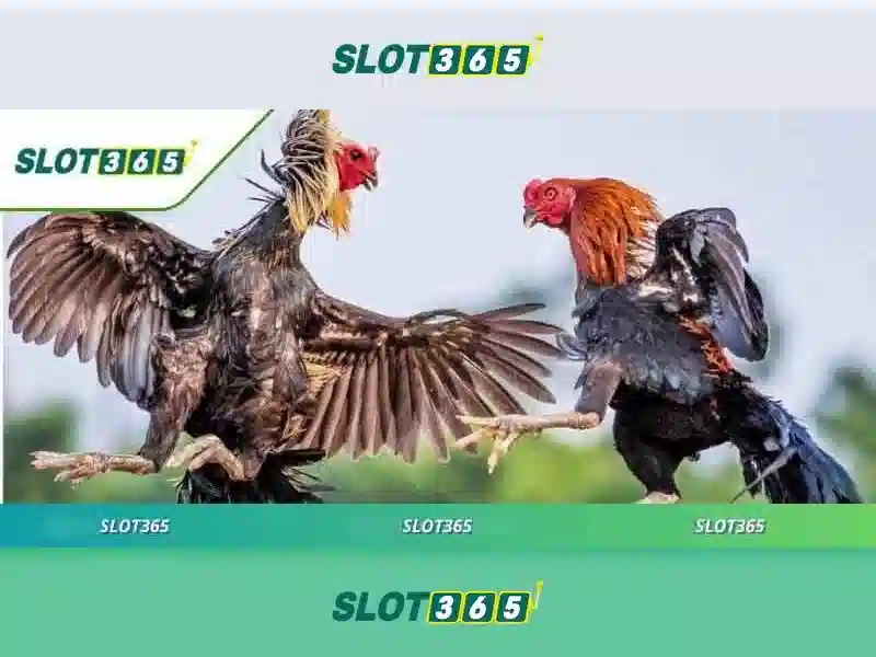 Trò chơi và slot đa dạng