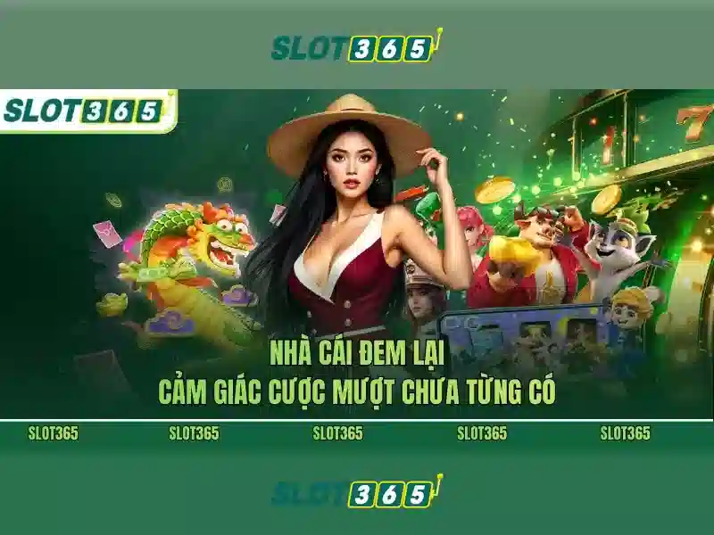 Khuyến mãi và ưu đãi