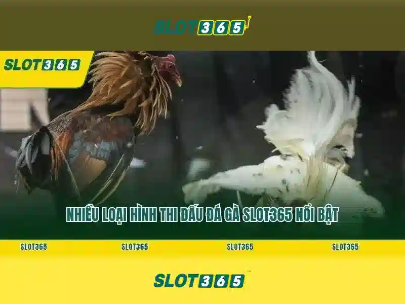 Tổng quan về Slot365