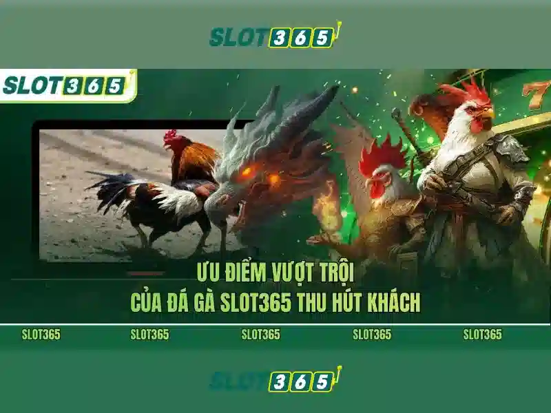 Kết luận về Slot365