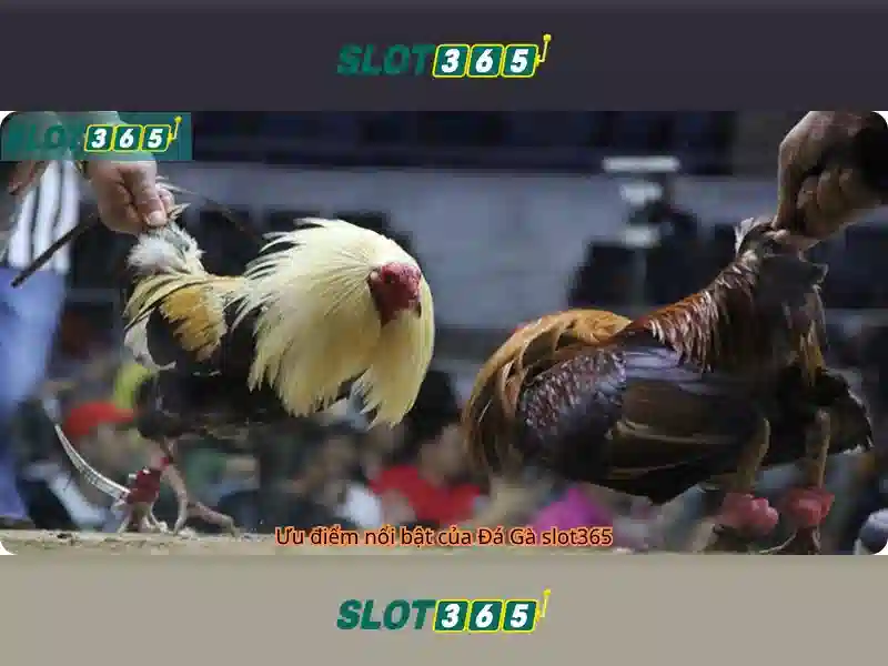 An toàn và bảo mật