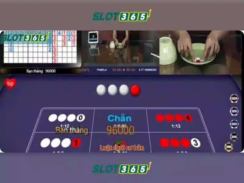 Hệ thống hỗ trợ và an toàn người chơi Slot365
