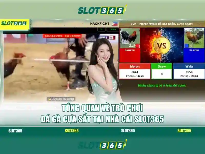 Cac tinh nang noi bat cua Slot365