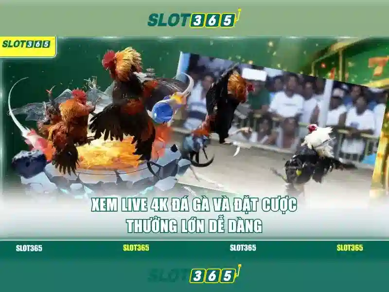 Slot365 là nền tảng chơi slot trực tuyến nổi bật