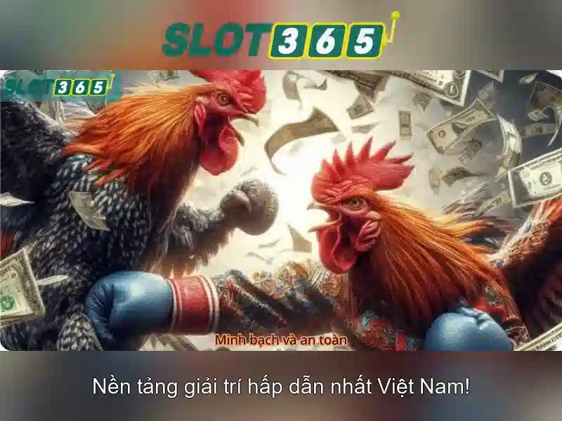 Lý do chọn Slot365