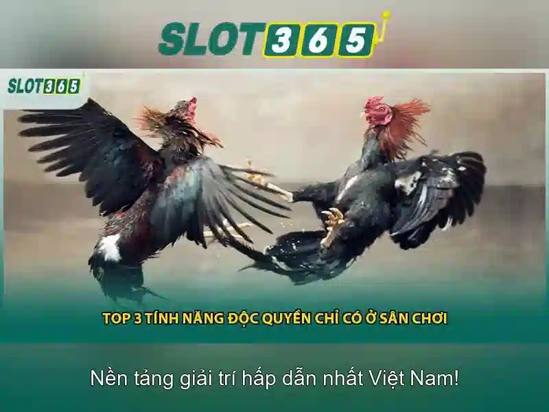 Danh mục trò chơi và trải nghiệm người dùng