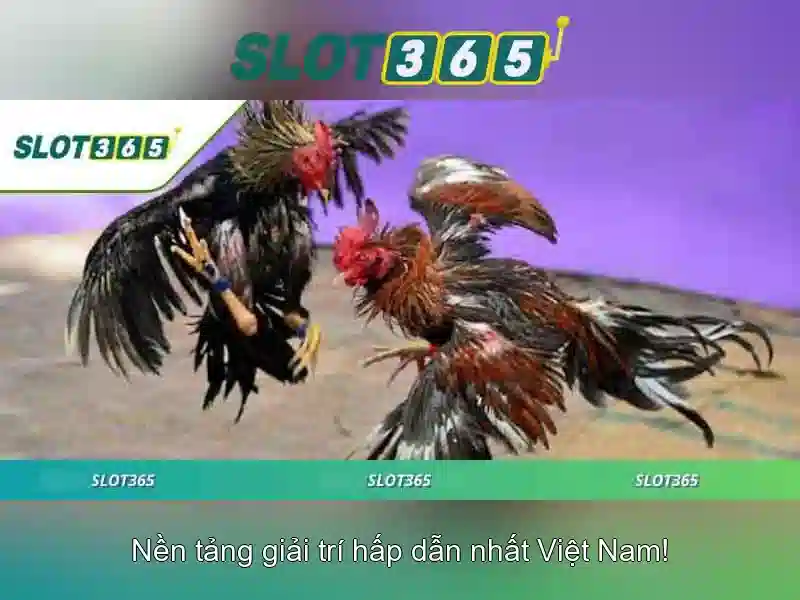 Slot365 - Trải nghiệm chơi máy xè bạc trực tuyến hàng đầu