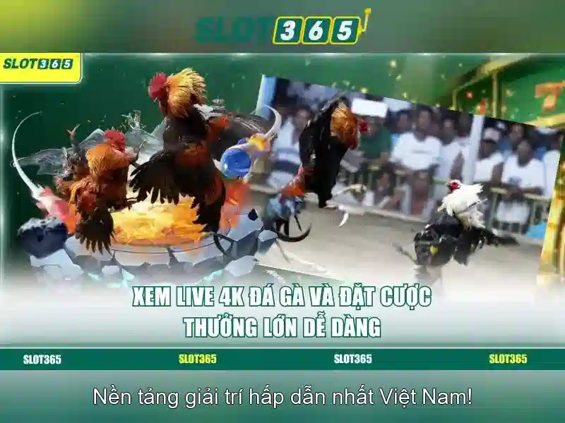 Các tính năng nổi bật của Slot365