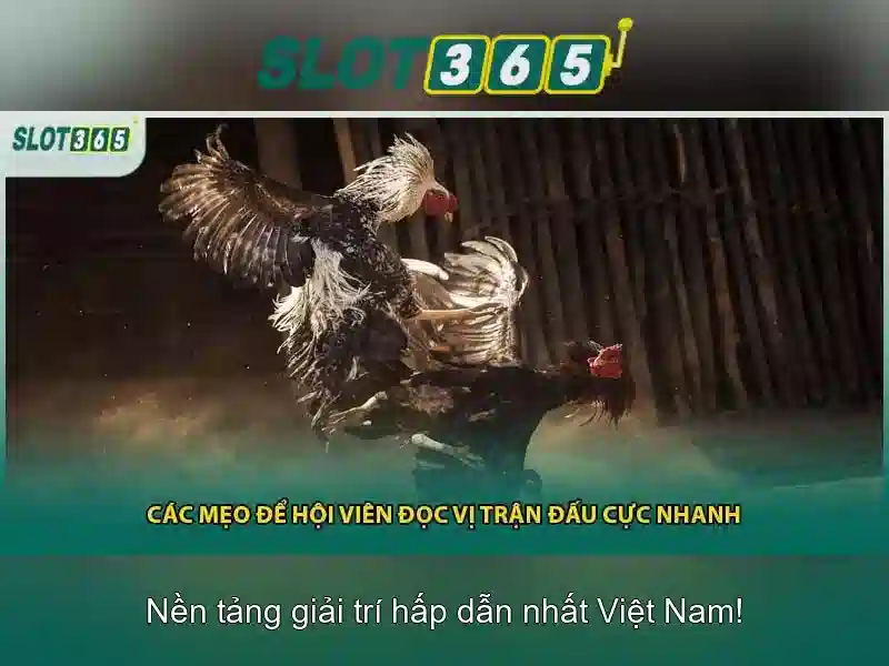 Mẹo chơi bắn cá 3 cây dễ ăn tiền nhà cái