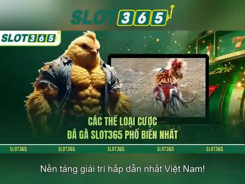 Khuyến mãi và an toàn