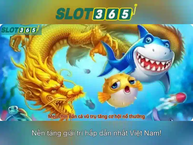 Khuyến mãi và chương trình thưởng