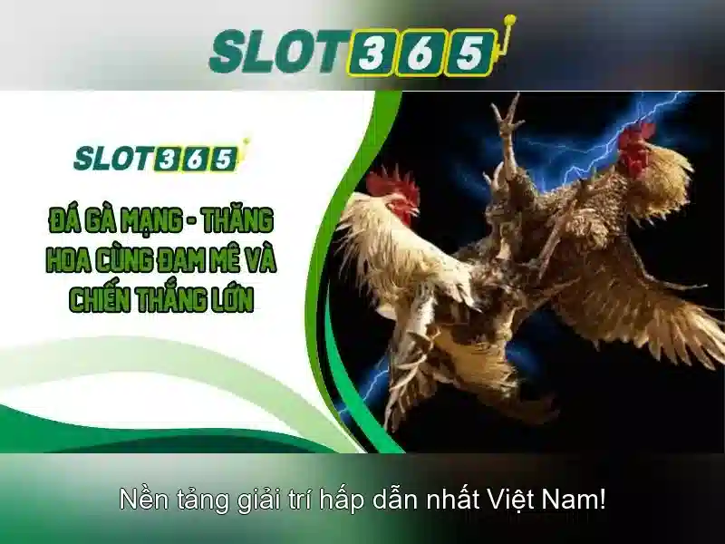 An toàn và thanh toán