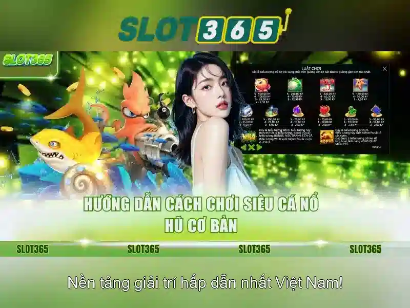 Giao diện người dùng và trải nghiệm
