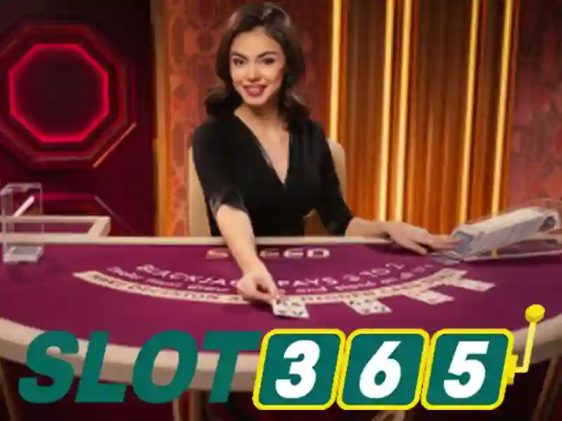 Tổng quan về điều khoản sử dụng tại nhà cái Slot365