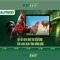 Slot365 – Trải nghiệm casino trực tuyến và máy slot hiện đại