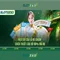 Slot365: Trải nghiệm chơi slots đỉnh cao