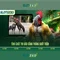Slot365: Nền tảng slot trực tuyến và trải nghiệm người chơi