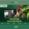 Slot365 – Nền tảng chơi máy xèng trực tuyến an toàn