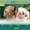 Slot365 – Tổng quan về nền tảng slot trực tuyến hàng đầu