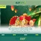 Slot365: Đánh giá và Trải nghiệm Casino Trực tuyến