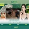 Slot365: Đánh Giá và Trải Nghiệm