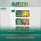 Slot365 - Tổng quan, trò chơi và hướng dẫn an toàn