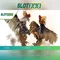 Slot365 - Tra nghiem choi danh bac truc tuyen
