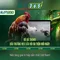 Slot365 – Nền tảng slot trực tuyến an toàn và hấp dẫn