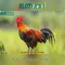 Slot365 – Nền tảng chơi máy xèng trực tuyến an toàn
