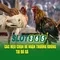 Slot365: Cổng sòng bạc trực tuyến uy tín