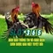 Slot365: Tổng quan và trải nghiệm người chơi
