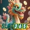 review Slot365 – Đánh giá tổng quan và trải nghiệm